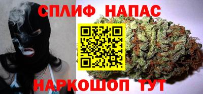 apvp Славгород