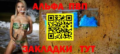apvp Славгород