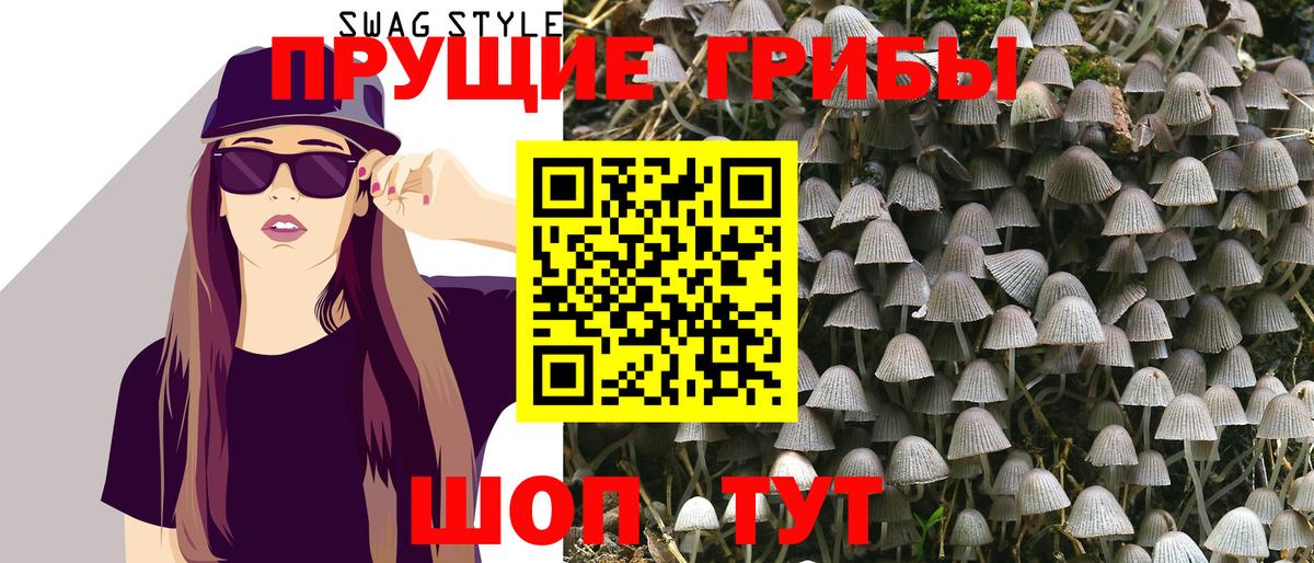 Псилоцибиновые грибы MAGIC MUSHROOMS  Псилоцибиновые грибы ЛСД  Отрадный  Вход с VPN 